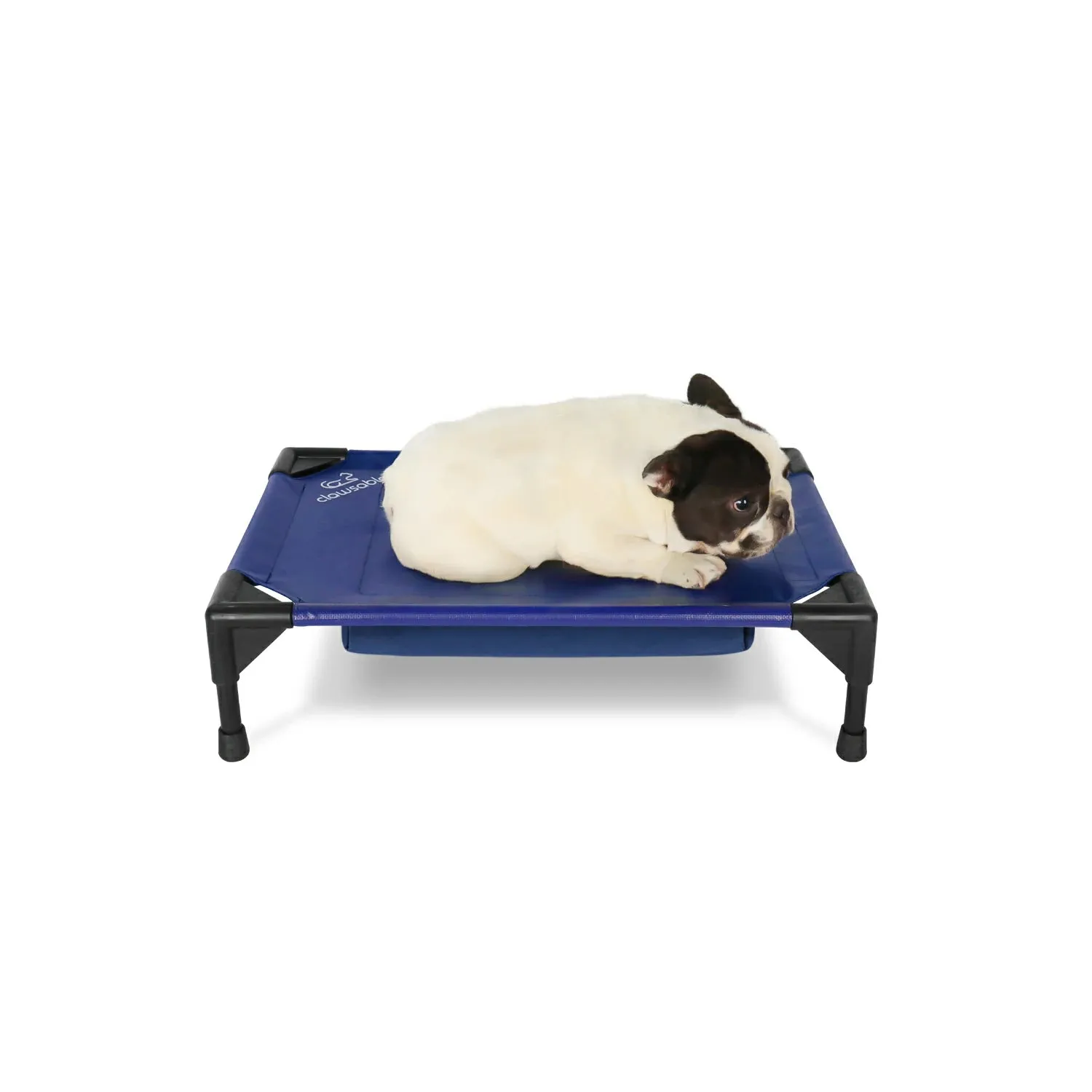 Cooling Elevated Dog Cot with Refillable Ice Pack